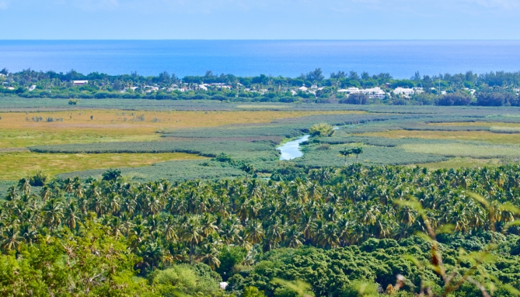 réserve naturelle étang saint-paul île de la réunion écotourisme keylodge