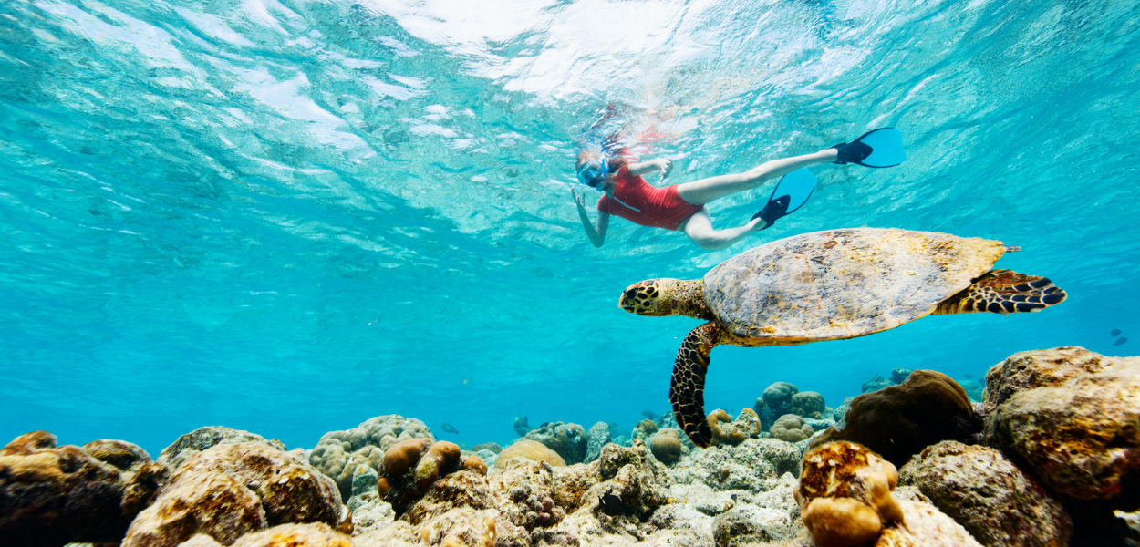 plus beaux spots de snorkeling île maurice