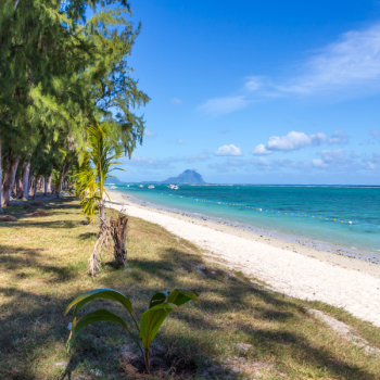 plage flic en flac snorkeling île maurice