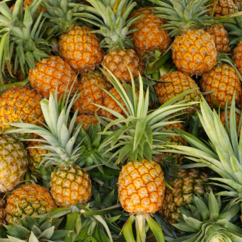 marché saint-leu île de la réunion keylodge holidays
