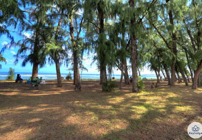 Apartment in Saint-Leu - T2 – Cantebazi*** - 55 m2 - St-Leu lagoon Apartment in Saint-Leu - T2 – Cantebazi*** - 55 m2 - St-Leu lagoon