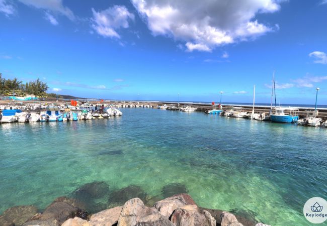 Apartment in Saint-Leu - T2 – Cantebazi*** - 55 m2 - St-Leu lagoon Apartment in Saint-Leu - T2 – Cantebazi*** - 55 m2 - St-Leu lagoon