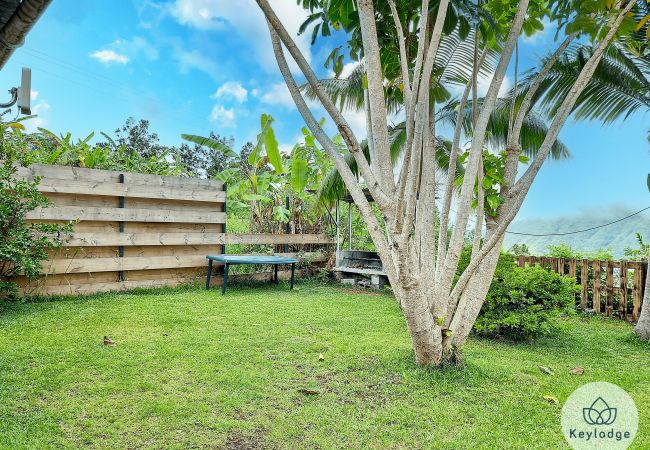 Bungalow in SAINT-LOUIS - Jardin de Montplaisir - Scheffléra – 25m² bungalow with mountain view – Saint-Louis Bungalow in SAINT-LOUIS - Jardin de Montplaisir - Scheffléra – 25m² bungalow with mountain view – Saint-Louis