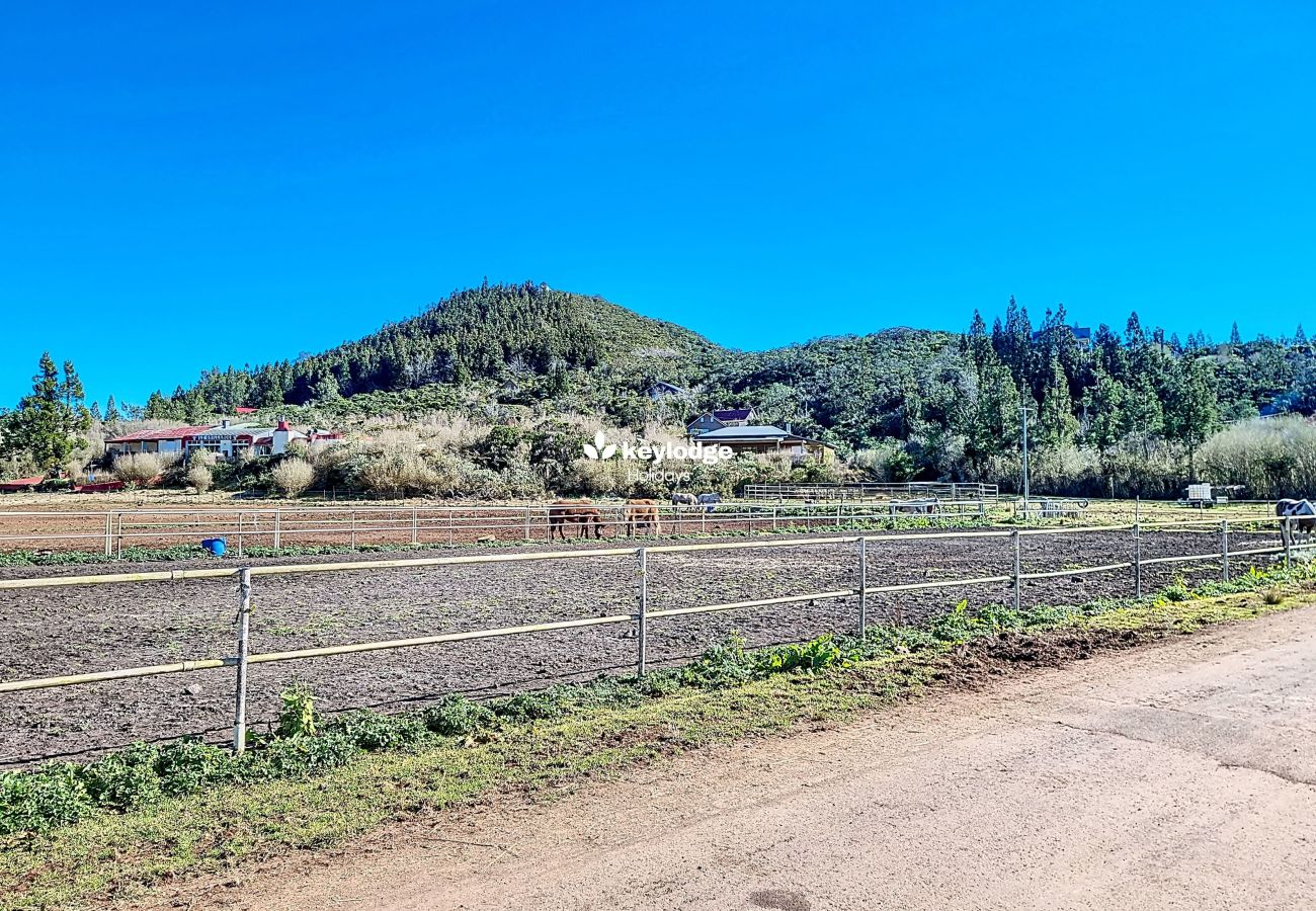 Villa in LE TAMPON - Haras Bourg-Murat - 4 bedroom house la Plaine des Cafres