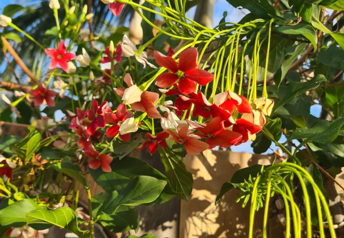 House in L'Étang-Salé - Vetibunga Bungalow –25m² with Jacuzzi – Etang-Salé