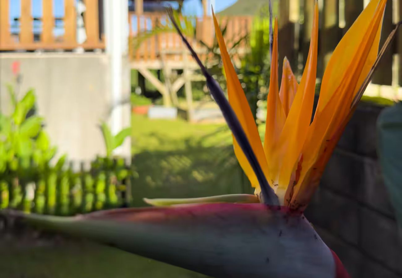 House in LA POSSESSION - Evasion-Dos D’ane*** – 4-bedroom villa with jacuzzi – La Possession