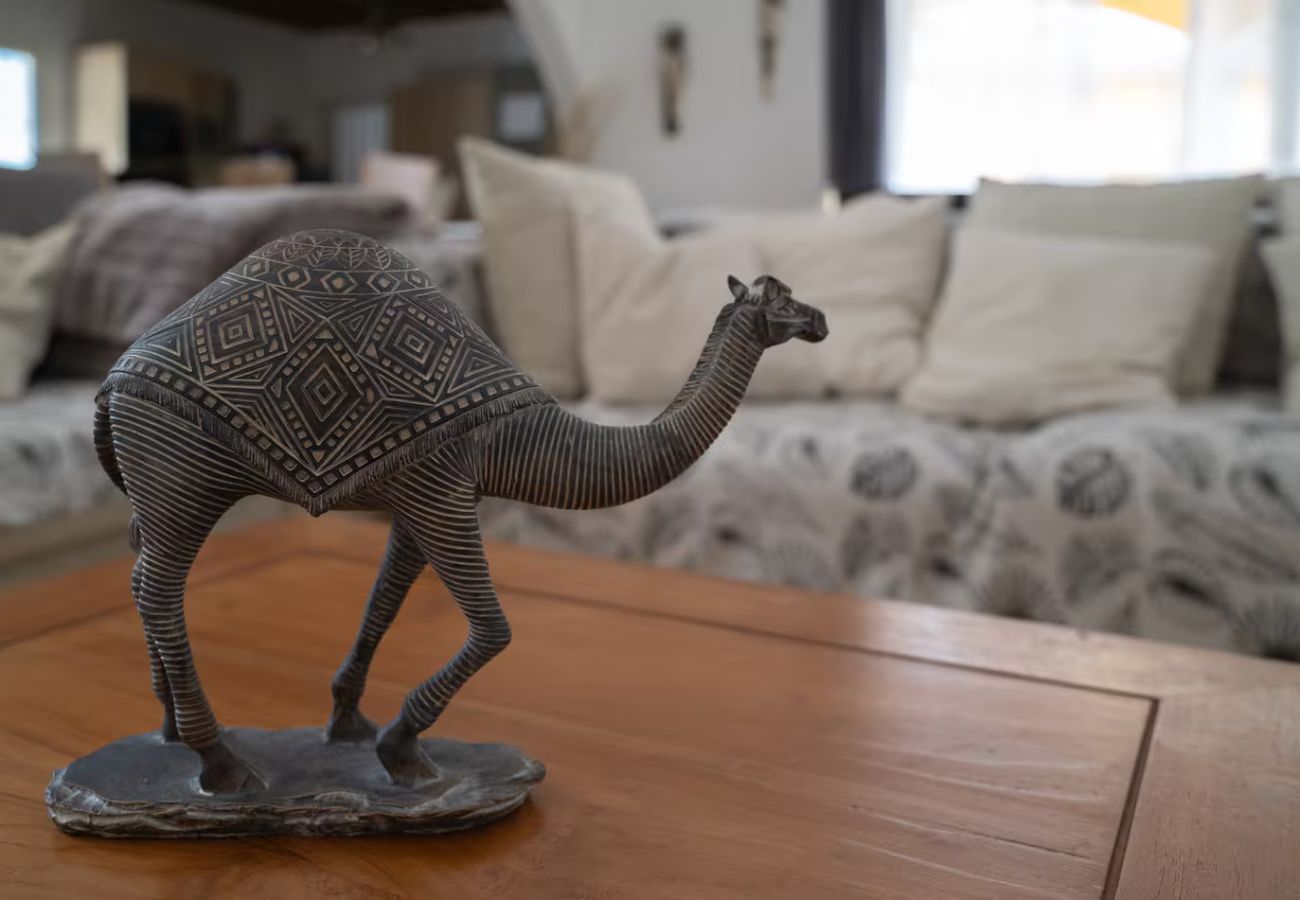 House in LA POSSESSION - Evasion-Dos D’ane*** – 4-bedroom villa with jacuzzi – La Possession