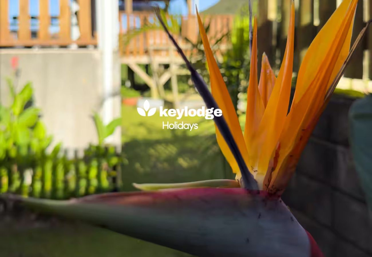 House in LA POSSESSION - Evasion-Dos D’ane*** – 4-bedroom Villa with jacuzzi – La Possession