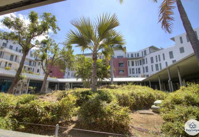 Appartement à Saint Pierre - T2 - Ti Patio*** - 38 m2 - Front de Mer - Saint-Pierre    Appartement à Saint Pierre - T2 - Ti Patio*** - 38 m2 - Front de Mer - Saint-Pierre