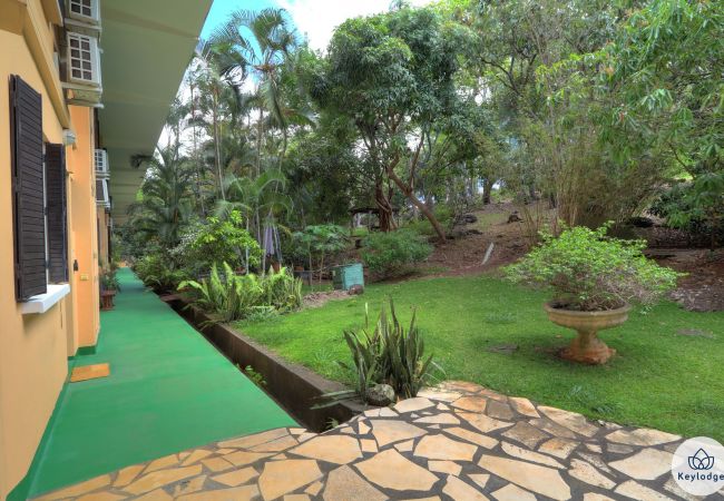 Appartement à Saint Denis - T3 – Duplex Moringue** – proche centre Saint-Denis Appartement à Saint Denis - T3 – Duplex Moringue** – proche centre Saint-Denis