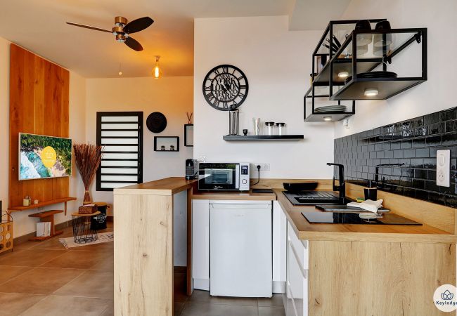 Appartement à Saint-Gilles les Bains - Le Alyssa - T3 – 50 m2 – Ermitage Les Bains Appartement à Saint-Gilles les Bains - Le Alyssa - T3 – 50 m2 – Ermitage Les Bains