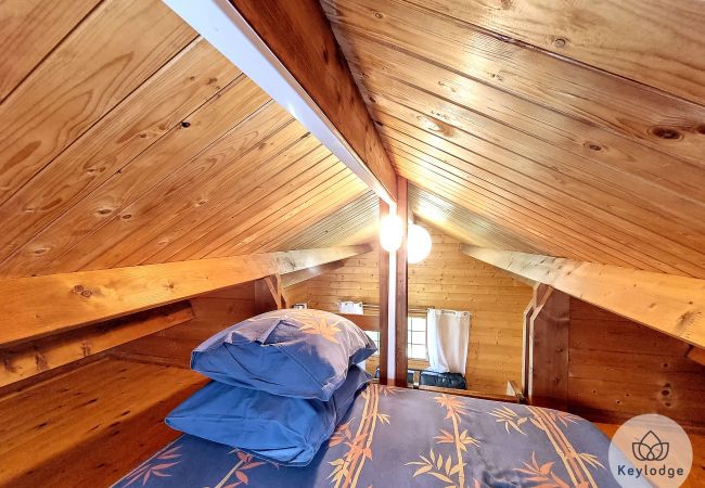 Bungalow à SAINT-LOUIS - Jardin de Montplaisir - Scheffléra – Bungalow 25m² avec vue sur la montagne – Saint-Louis Bungalow à SAINT-LOUIS - Jardin de Montplaisir - Scheffléra – Bungalow 25m² avec vue sur la montagne – Saint-Louis