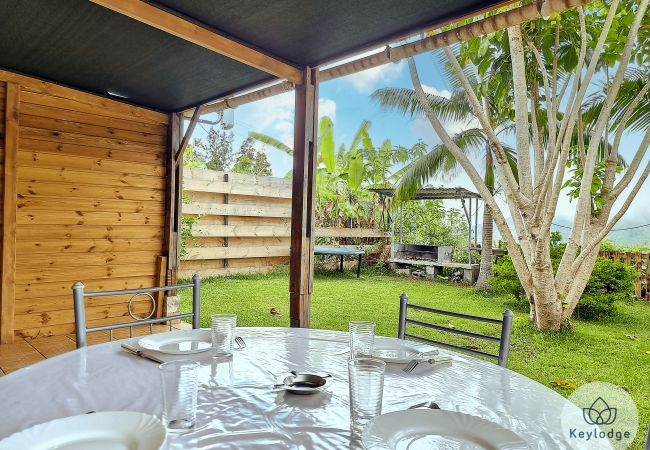 Bungalow à SAINT-LOUIS - Jardin de Montplaisir - Scheffléra – Bungalow 25m² avec vue sur la montagne – Saint-Louis Bungalow à SAINT-LOUIS - Jardin de Montplaisir - Scheffléra – Bungalow 25m² avec vue sur la montagne – Saint-Louis