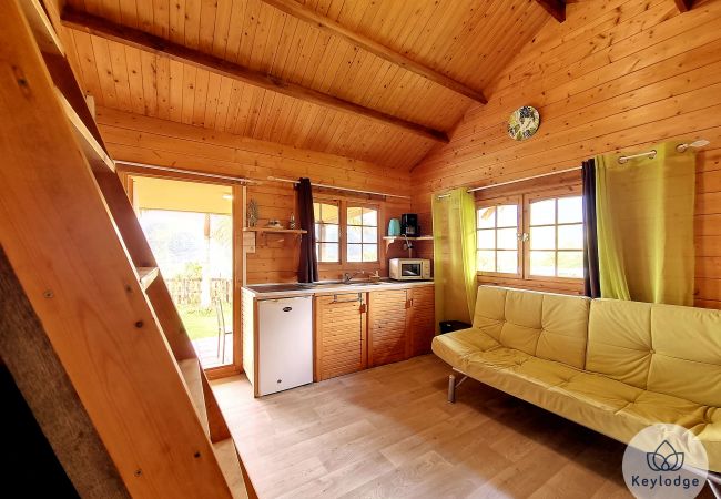 Bungalow à SAINT-LOUIS - Jardin de Montplaisir - Yucca – Bungalow 25m² avec vue sur la montagne – Saint-Louis Bungalow à SAINT-LOUIS - Jardin de Montplaisir - Yucca – Bungalow 25m² avec vue sur la montagne – Saint-Louis