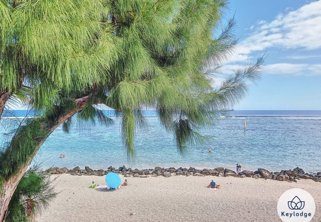 Appartement à Saint-Leu - T3 duplex pieds dans l’eau – Mosala 5 – Saint-Leu Appartement à Saint-Leu - T3 duplex pieds dans l’eau – Mosala 5 – Saint-Leu