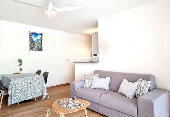 Appartement à Saint Denis - Café Pointu - T2 à Sainte-Clotilde Appartement à Saint Denis - Café Pointu - T2 à Sainte-Clotilde