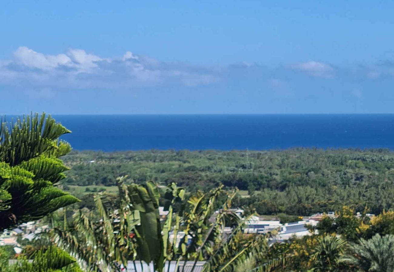 Maison à L'Étang-Salé - Vetibunga Bungalow –25m² avec Jacuzzi – Etang-Salé